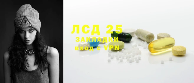 ECSTASY Бородино